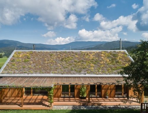 Arsitektur Bioklimatik untuk Mitigasi Banjir