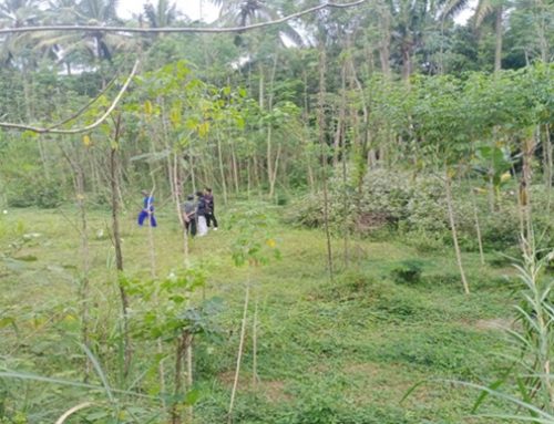 Dari Radius 11 km Puncak Merapi ke Dusun Ngancar: Cerita Relokasi Mandiri Warga Merapi