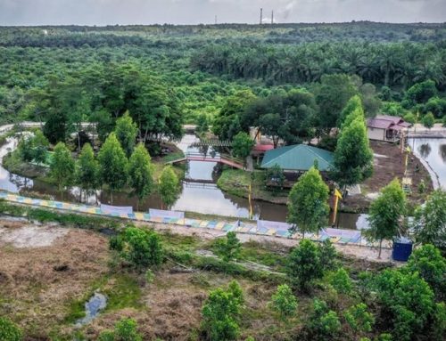 Dari Karhutla, Desa Dayun Bangkit sebagai Desa Wisata