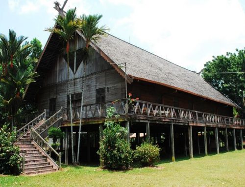 Lansekap Kampung Dayak: Saat Rumah Panjang Menyatu dengan Alam