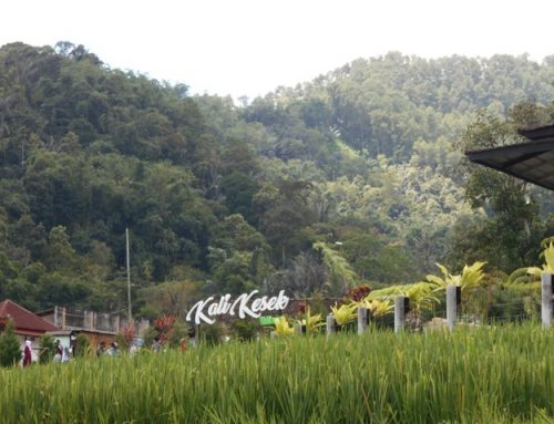 Pengembangan Kawasan Wisata Arenan Kalikesek: Dari Inisiasi Desa ke Dampak Ekonomi Lokal