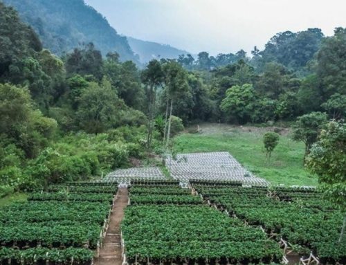Potensi dan Tantangan Desa Wisata Alamendah: Menjaga Keberlanjutan di Tengah Pembangunan
