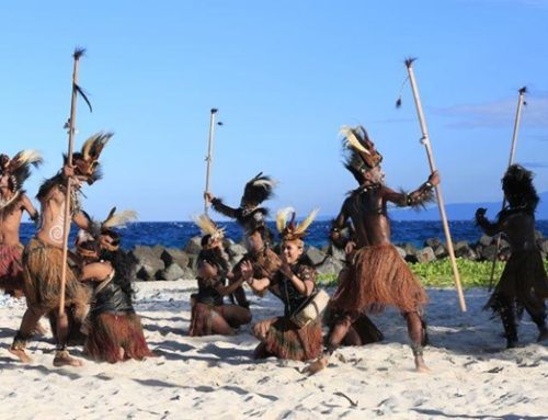 Akankah Deforestasi di Papua Dapat di Cegah? Ketika Deforestasi Mengancam Masyarakat Adat dan Masa Depan Hutan Terakhir Indonesia