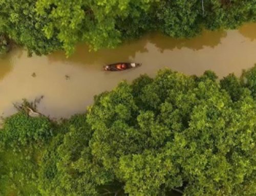 Mengenal Desa Wisata Labuhan Ratu VII, Ekowisata Edukatif Penyangga Taman Nasional Way Kambas